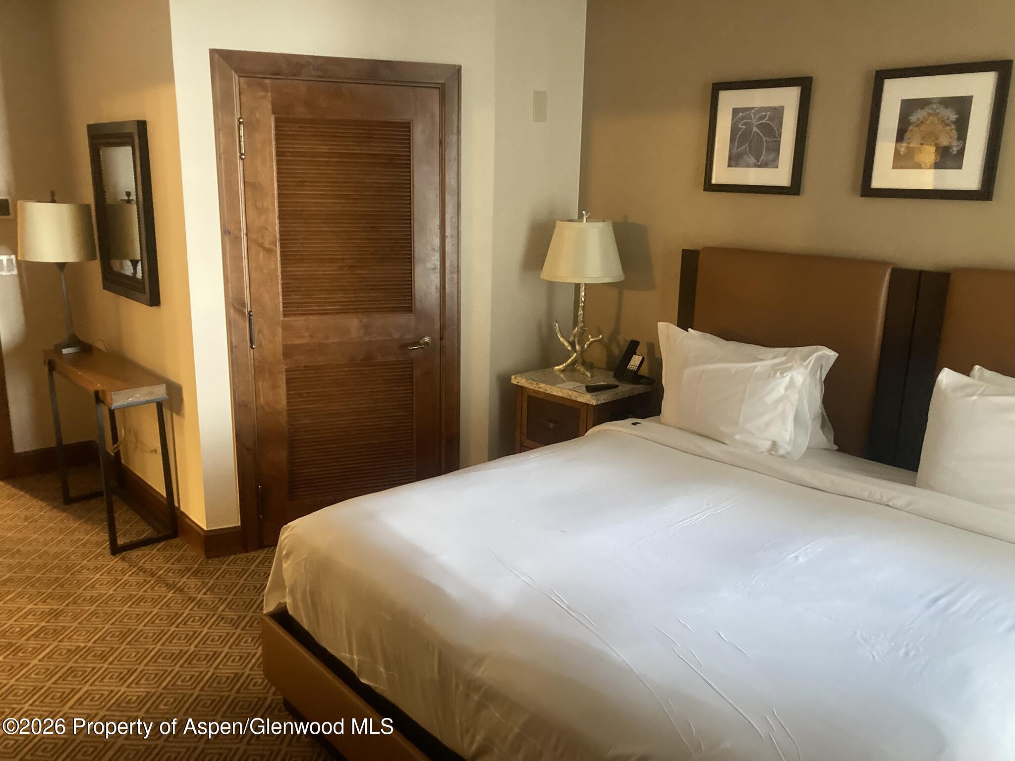 39 Boomerang Road, Unit 841010 Aspen, CO 81611 - Photo 4 of 21 a bedroom with a bed and a walk in closet