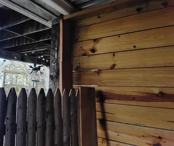 a park view with large trees
