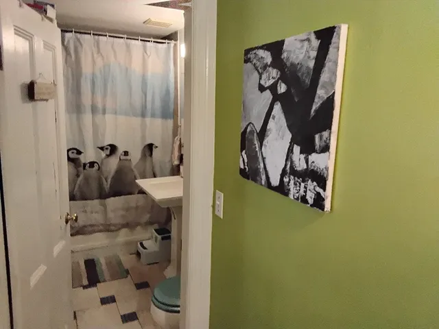 a bathroom with a shower curtain