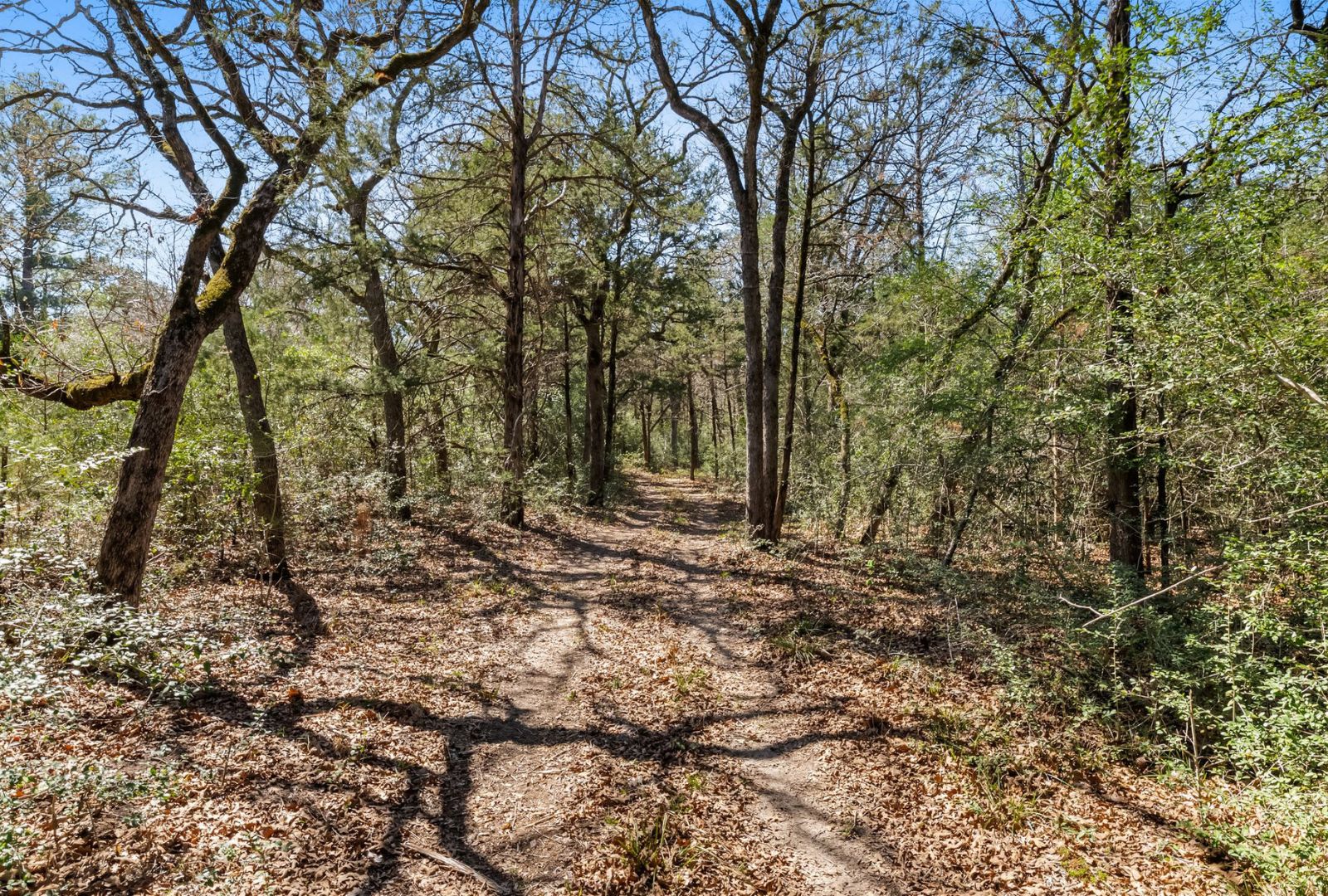 490 John Craft Road Red Rock, TX 78662 - Photo 26 of 40