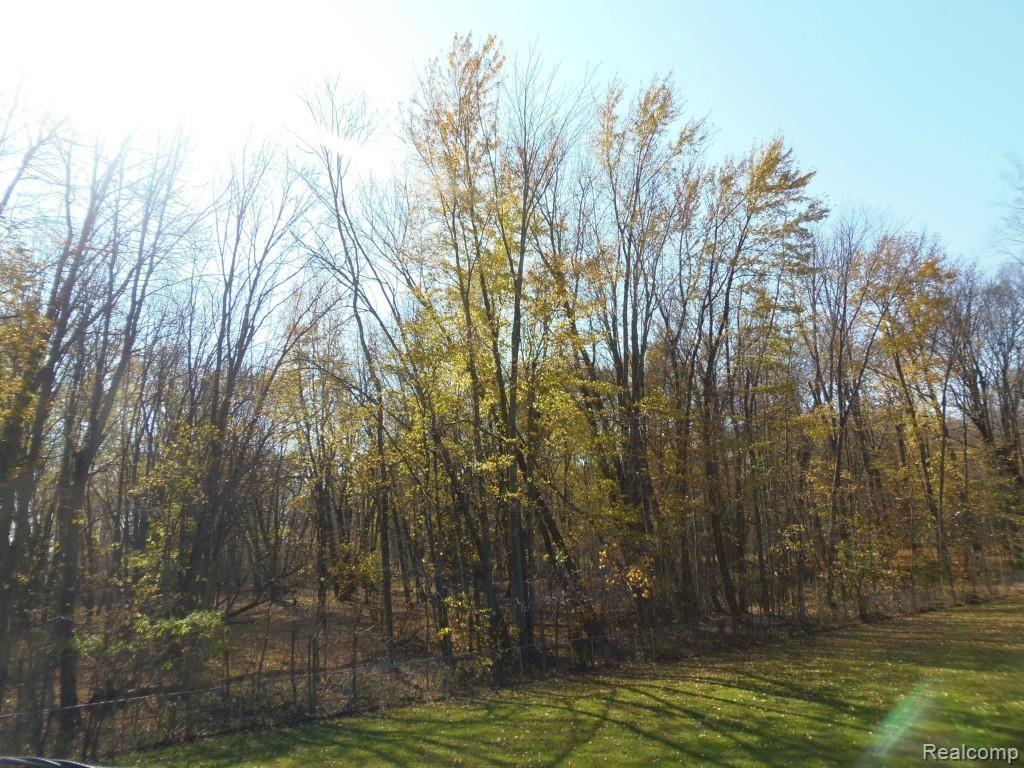 9449 Mason Road Fowlerville, MI 48836 - Photo 35 of 45 1426.jpg