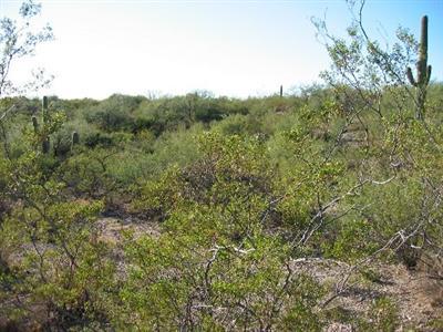 20 East Rincon Creek Ranch Road, Unit A Tucson, AZ 85747 - Photo 3 of 3