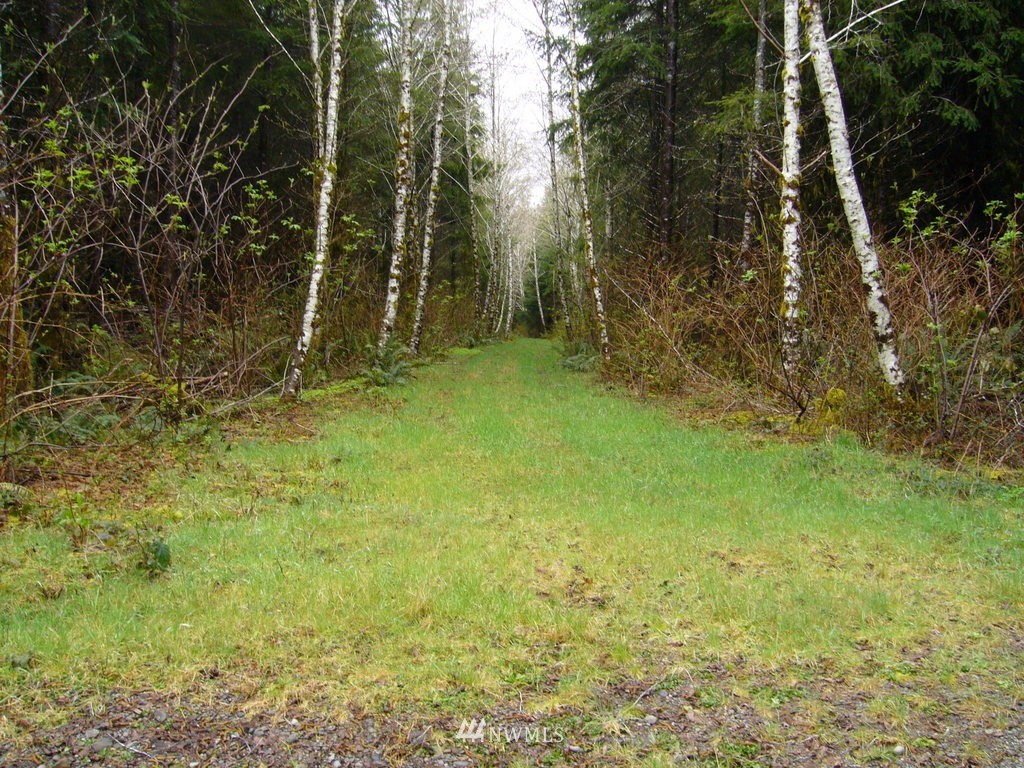 99999 Moriarty Road Forks, WA 98331 - Photo 11 of 17 Gallery Image 11