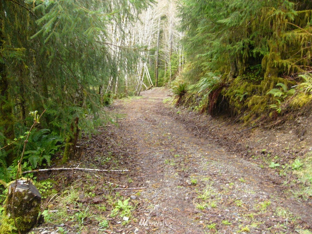 99999 Moriarty Road Forks, WA 98331 - Photo 12 of 17 Gallery Image 12
