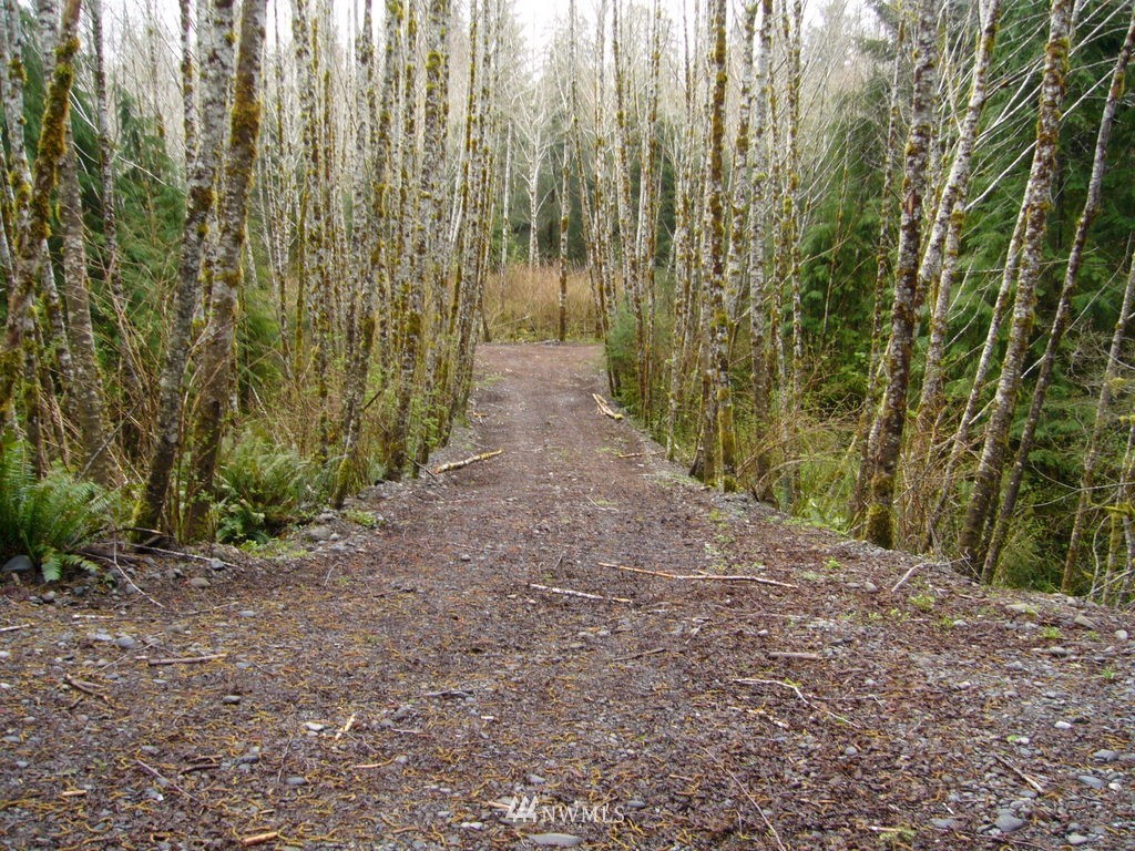 99999 Moriarty Road Forks, WA 98331 - Photo 13 of 17 Gallery Image 13