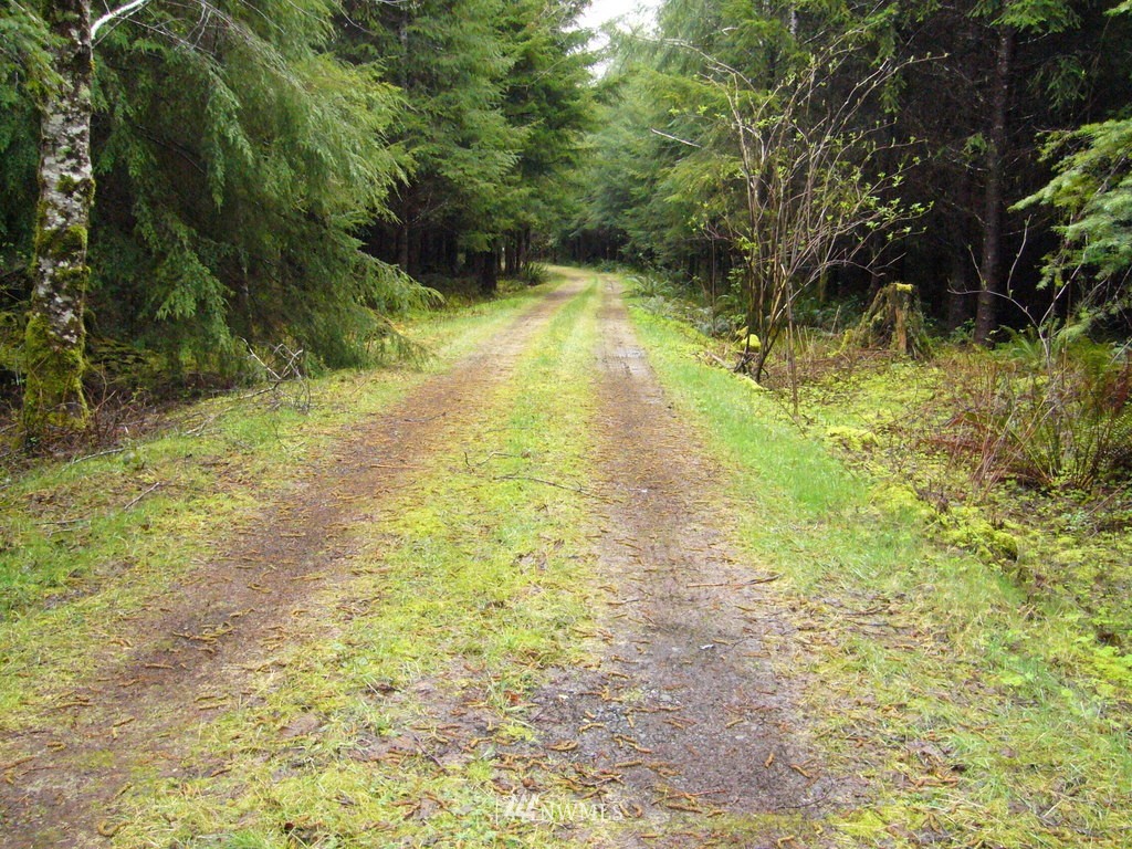 99999 Moriarty Road Forks, WA 98331 - Photo 16 of 17 Gallery Image 16