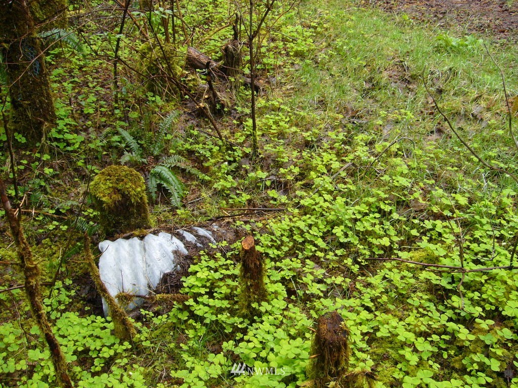 99999 Moriarty Road Forks, WA 98331 - Photo 17 of 17 Gallery Image 17