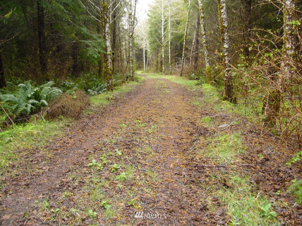 99999 Moriarty Road Forks, WA 98331 - Photo 10 of 17 Gallery Image 10