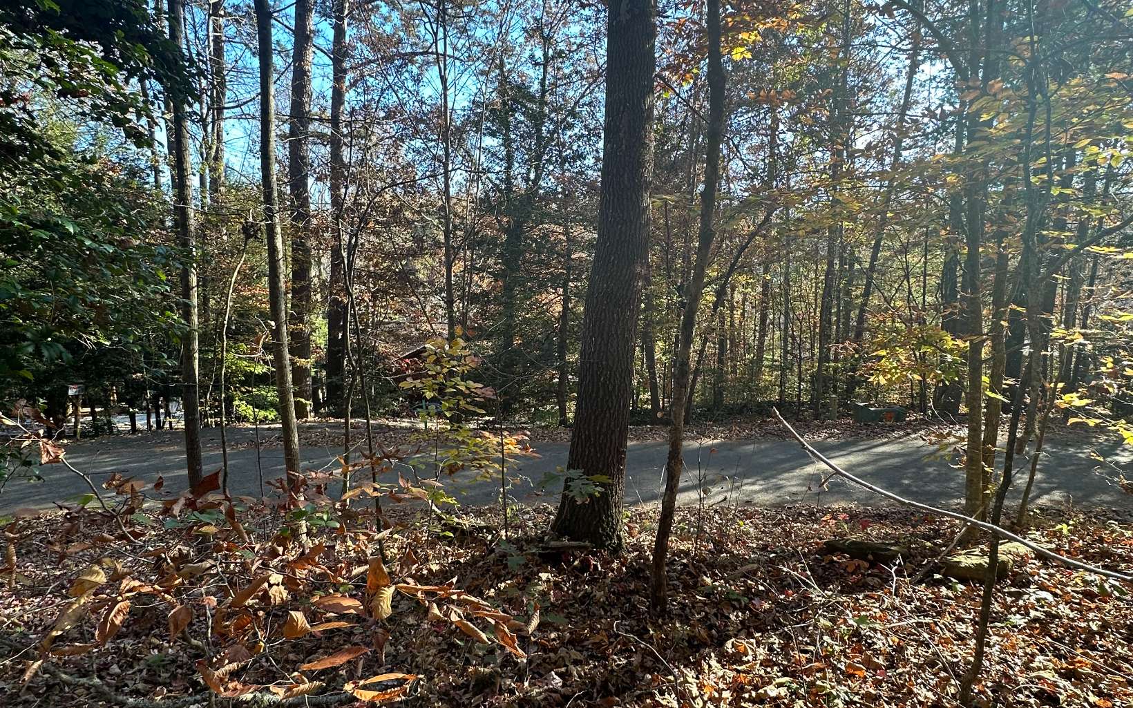 Lot 3 Piney Point Road Blairsville, GA 30512 - Photo 1 of 16 Main View