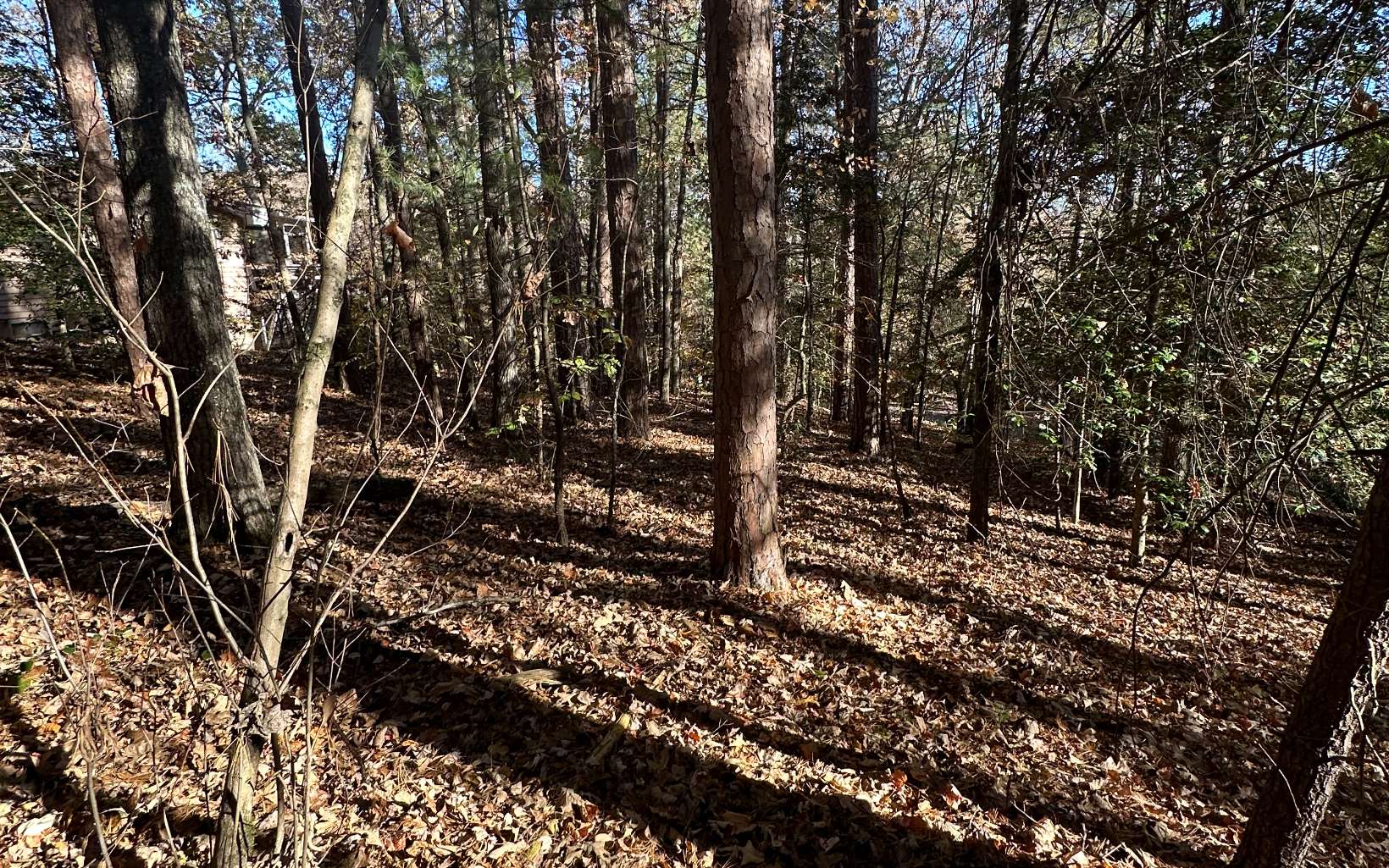 Lot 3 Piney Point Road Blairsville, GA 30512 - Photo 11 of 16 Additional View