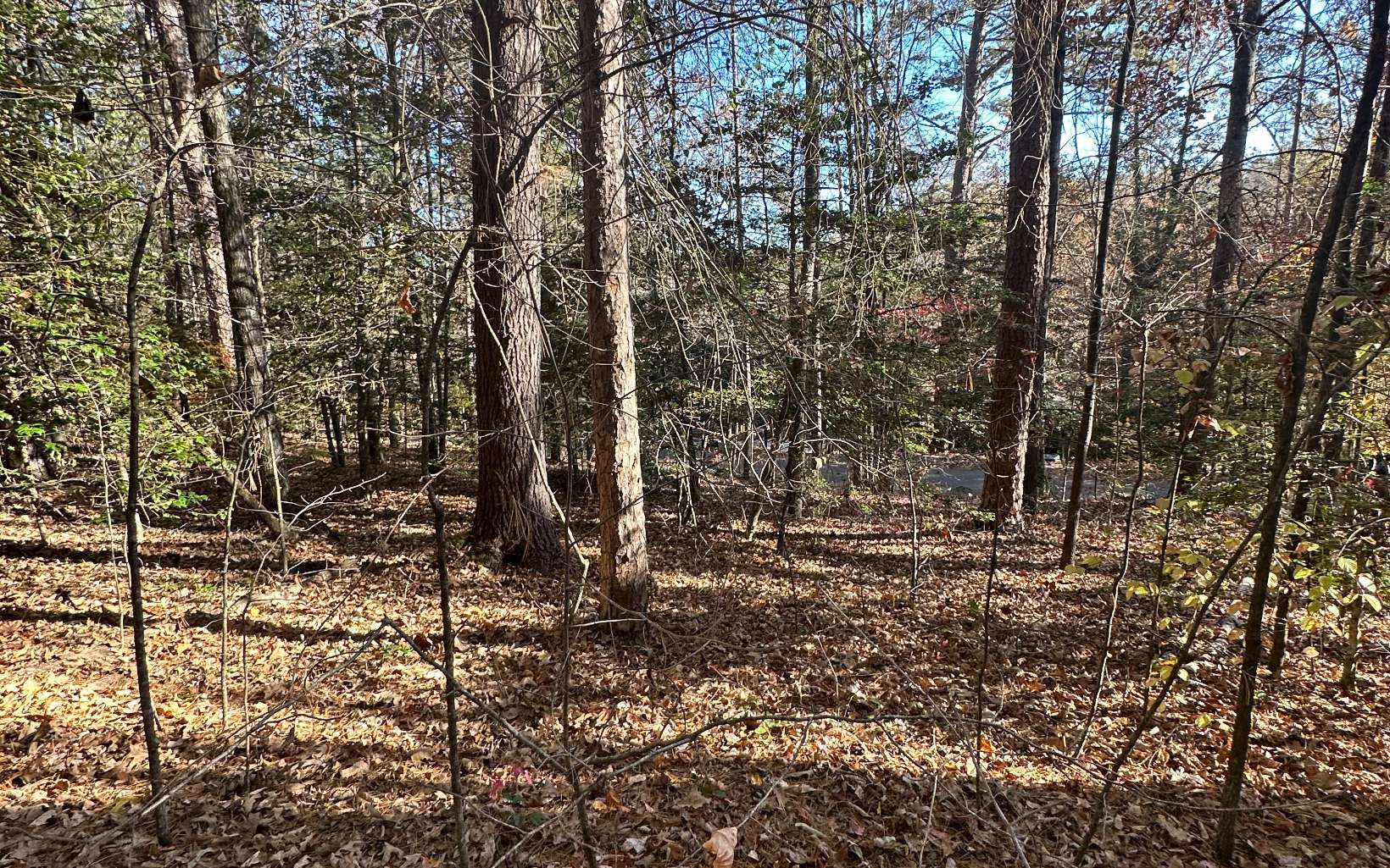 Lot 3 Piney Point Road Blairsville, GA 30512 - Photo 12 of 16 Additional View