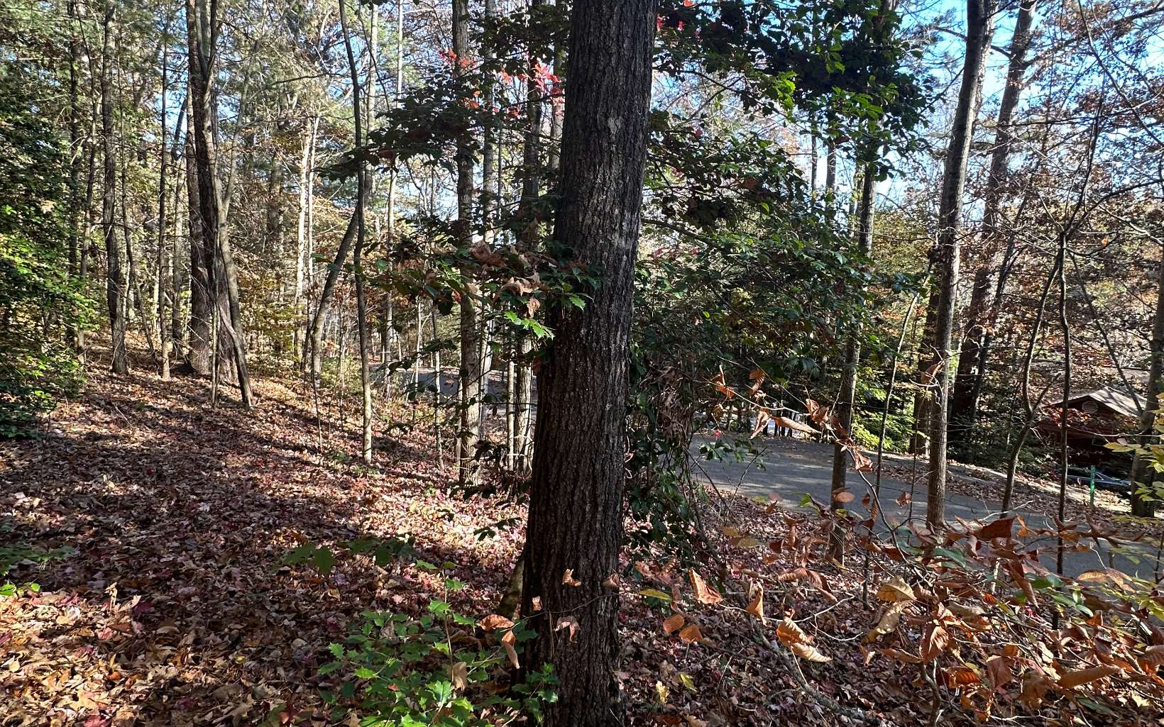 Lot 3 Piney Point Road Blairsville, GA 30512 - Photo 13 of 16 Additional View