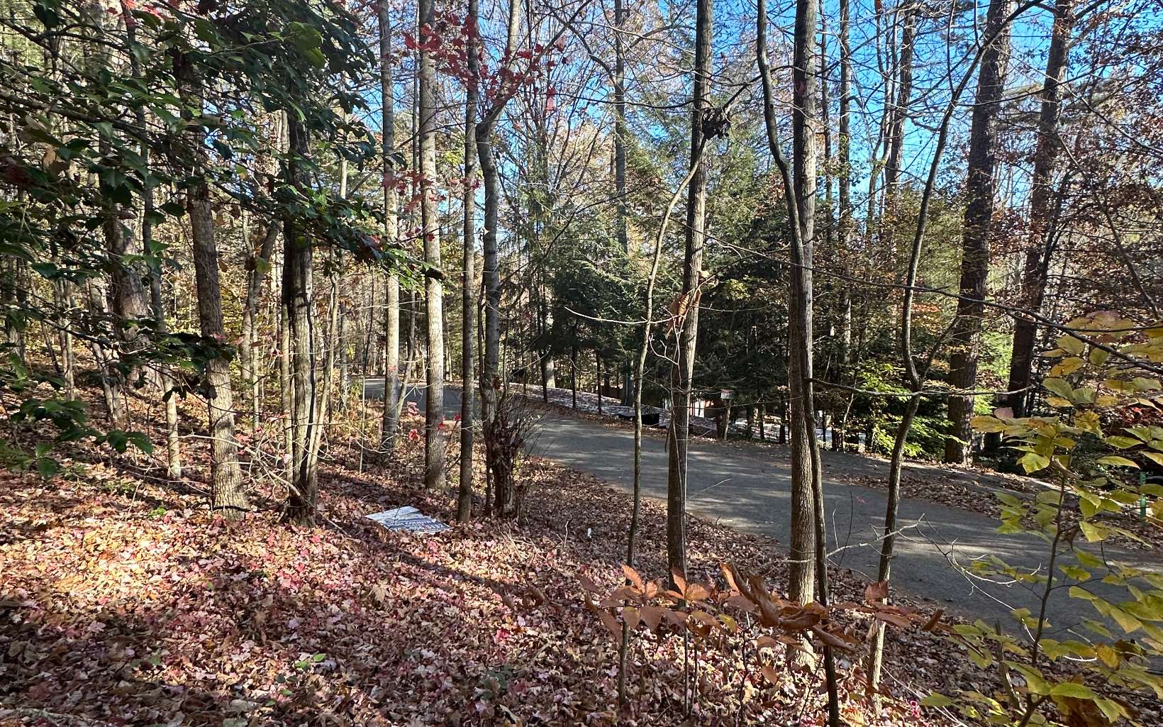 Lot 3 Piney Point Road Blairsville, GA 30512 - Photo 14 of 16 Additional View