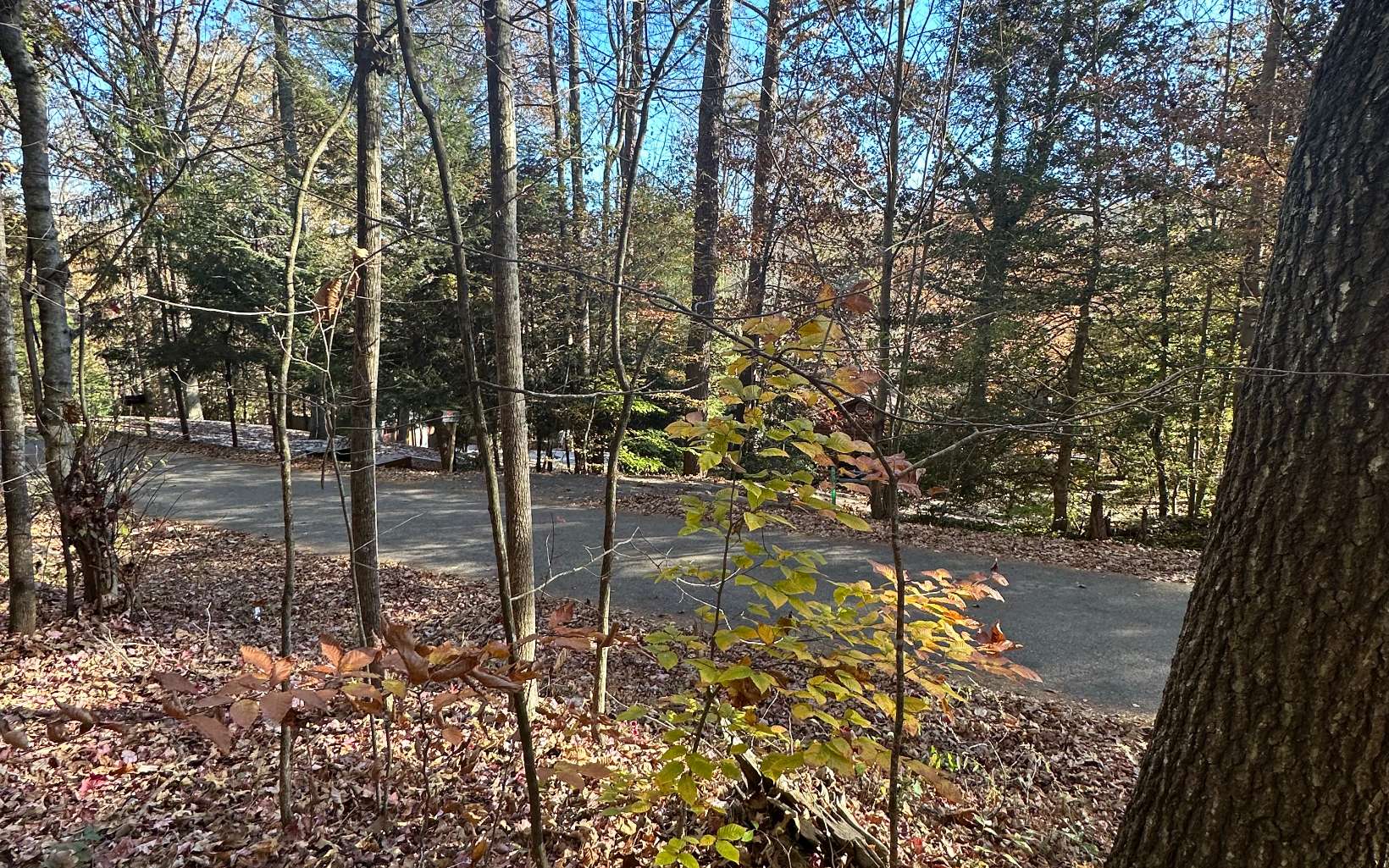 Lot 3 Piney Point Road Blairsville, GA 30512 - Photo 15 of 16 Additional View