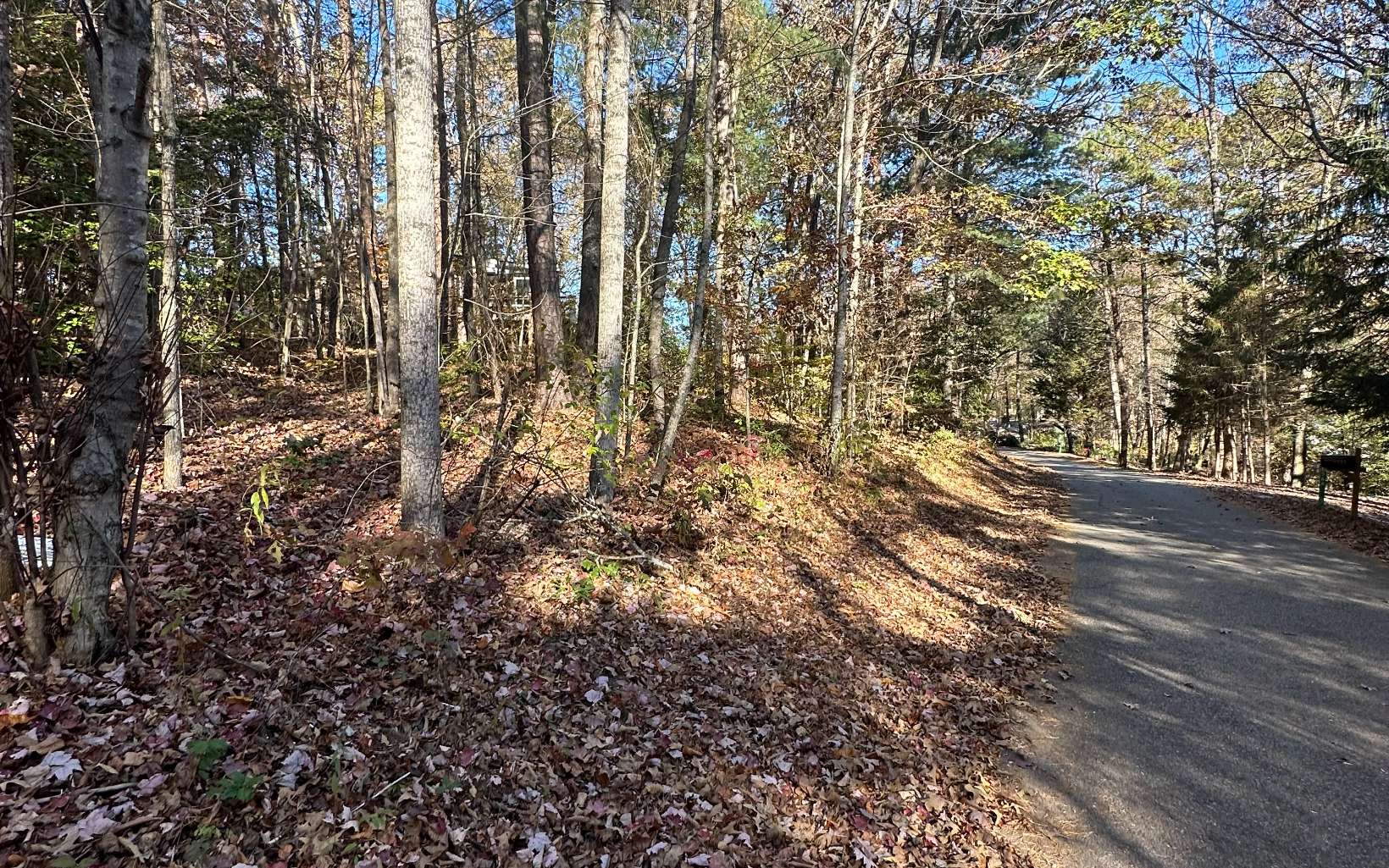 Lot 3 Piney Point Road Blairsville, GA 30512 - Photo 16 of 16 Additional View