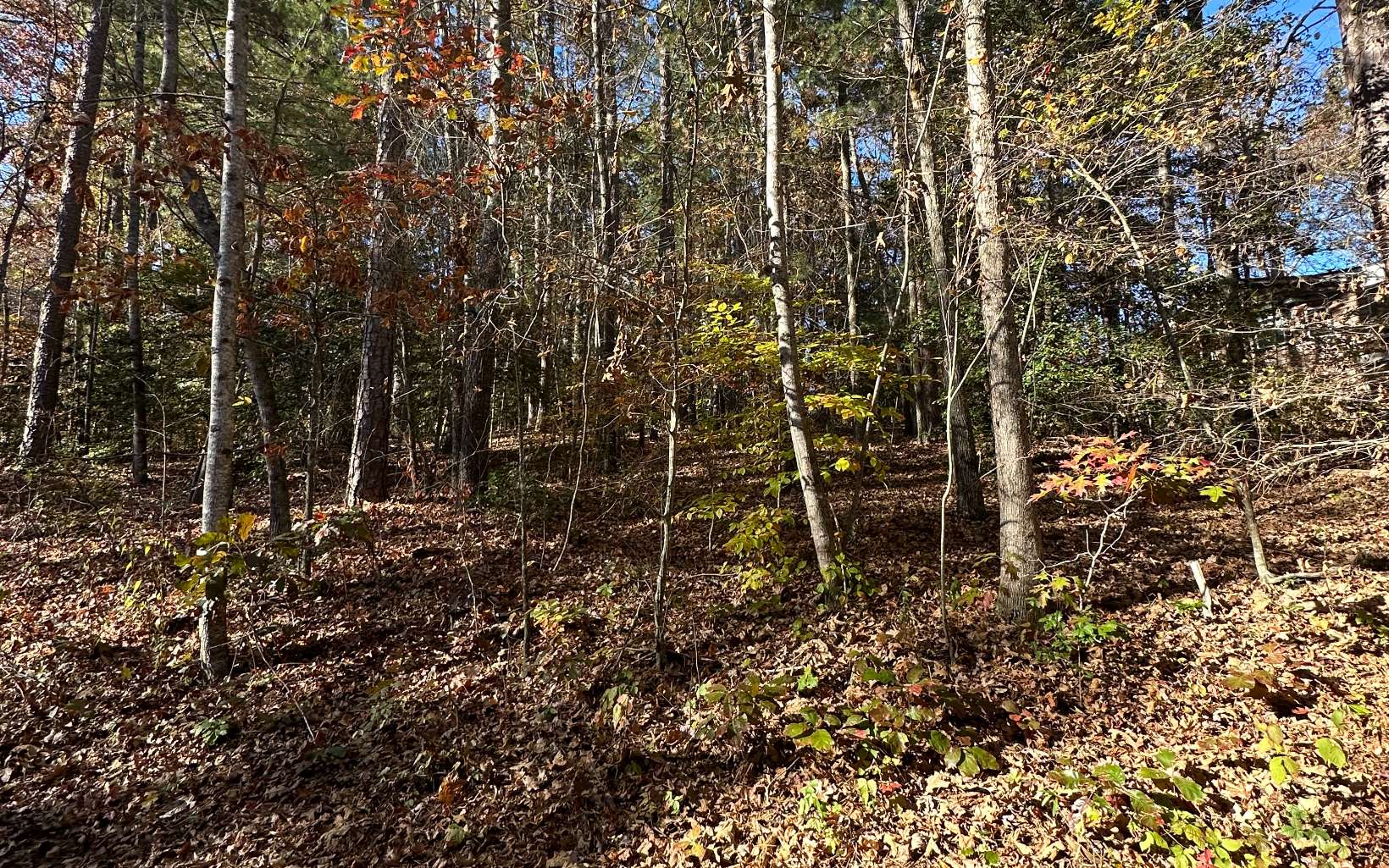 Lot 3 Piney Point Road Blairsville, GA 30512 - Photo 2 of 16 Additional View