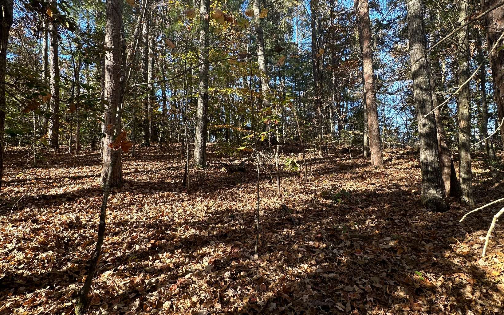 Lot 3 Piney Point Road Blairsville, GA 30512 - Photo 3 of 16 Additional View