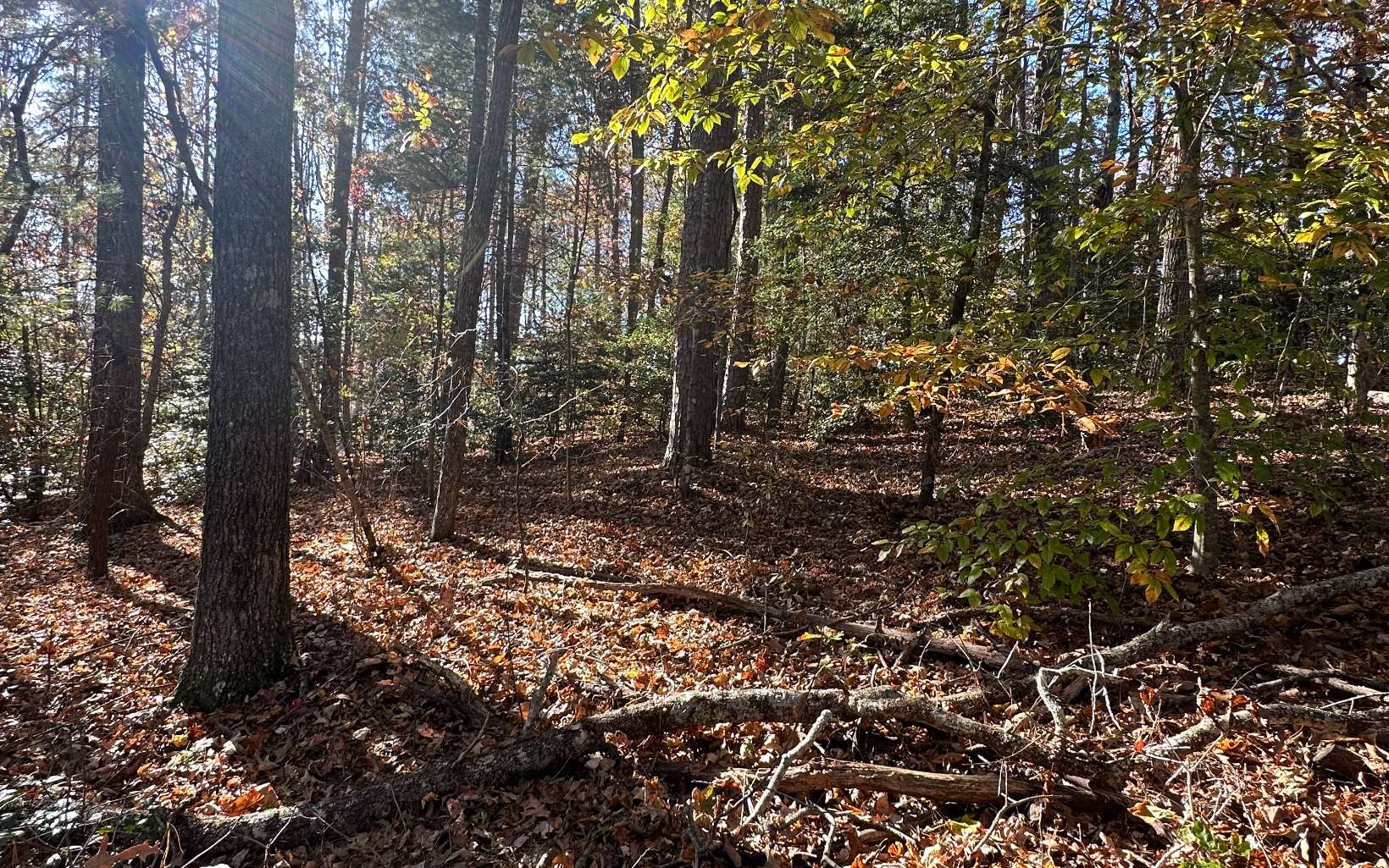 Lot 3 Piney Point Road Blairsville, GA 30512 - Photo 4 of 16 Additional View