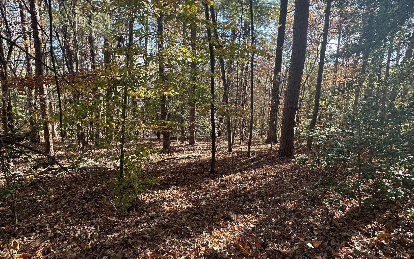 Lot 3 Piney Point Road Blairsville, GA 30512 - Photo 5 of 16 Additional View