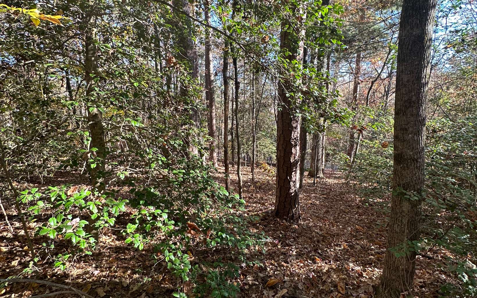 Lot 3 Piney Point Road Blairsville, GA 30512 - Photo 6 of 16 Additional View