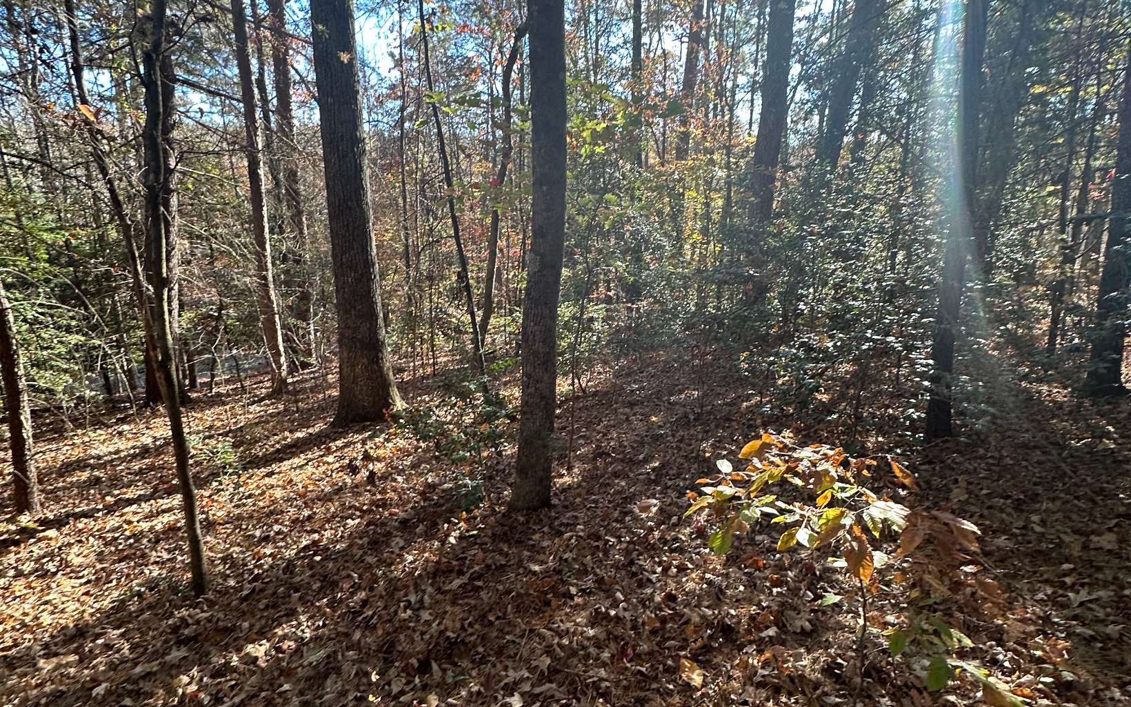 Lot 3 Piney Point Road Blairsville, GA 30512 - Photo 7 of 16 Additional View