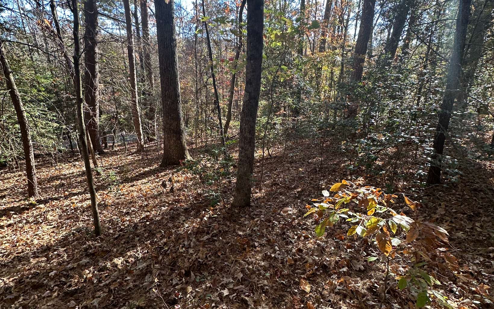 Lot 3 Piney Point Road Blairsville, GA 30512 - Photo 8 of 16 Additional View