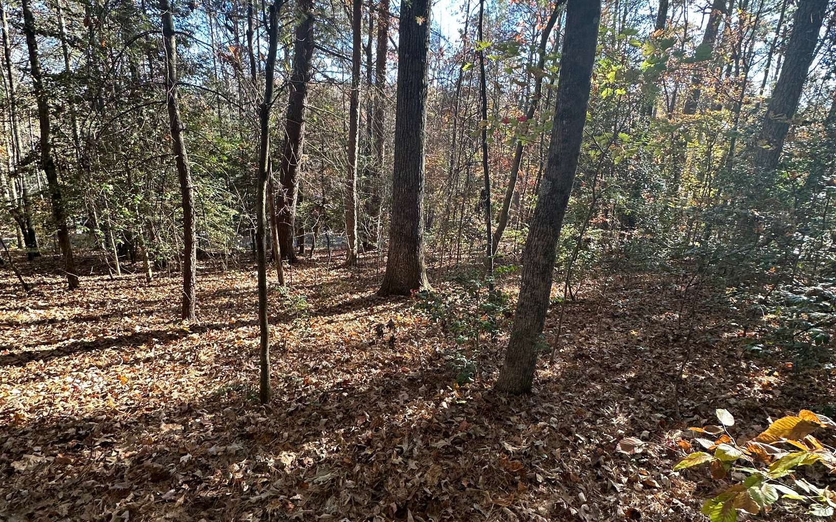Lot 3 Piney Point Road Blairsville, GA 30512 - Photo 9 of 16 Additional View