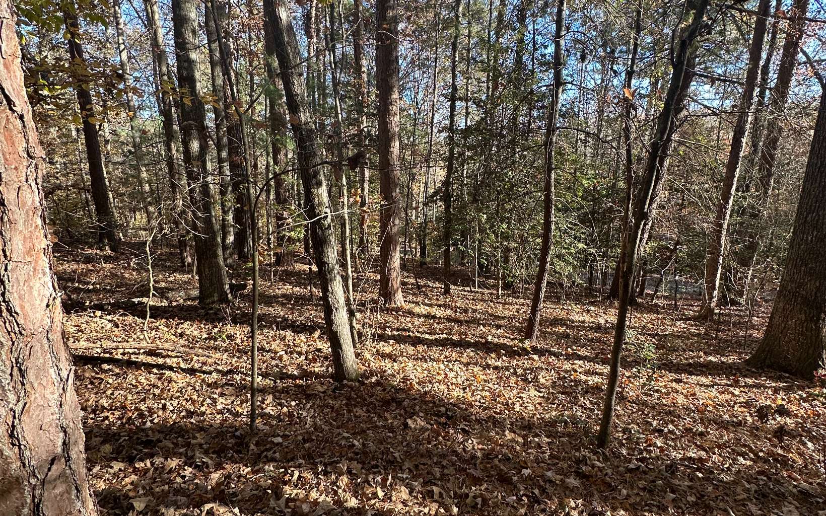 Lot 3 Piney Point Road Blairsville, GA 30512 - Photo 10 of 16 Additional View