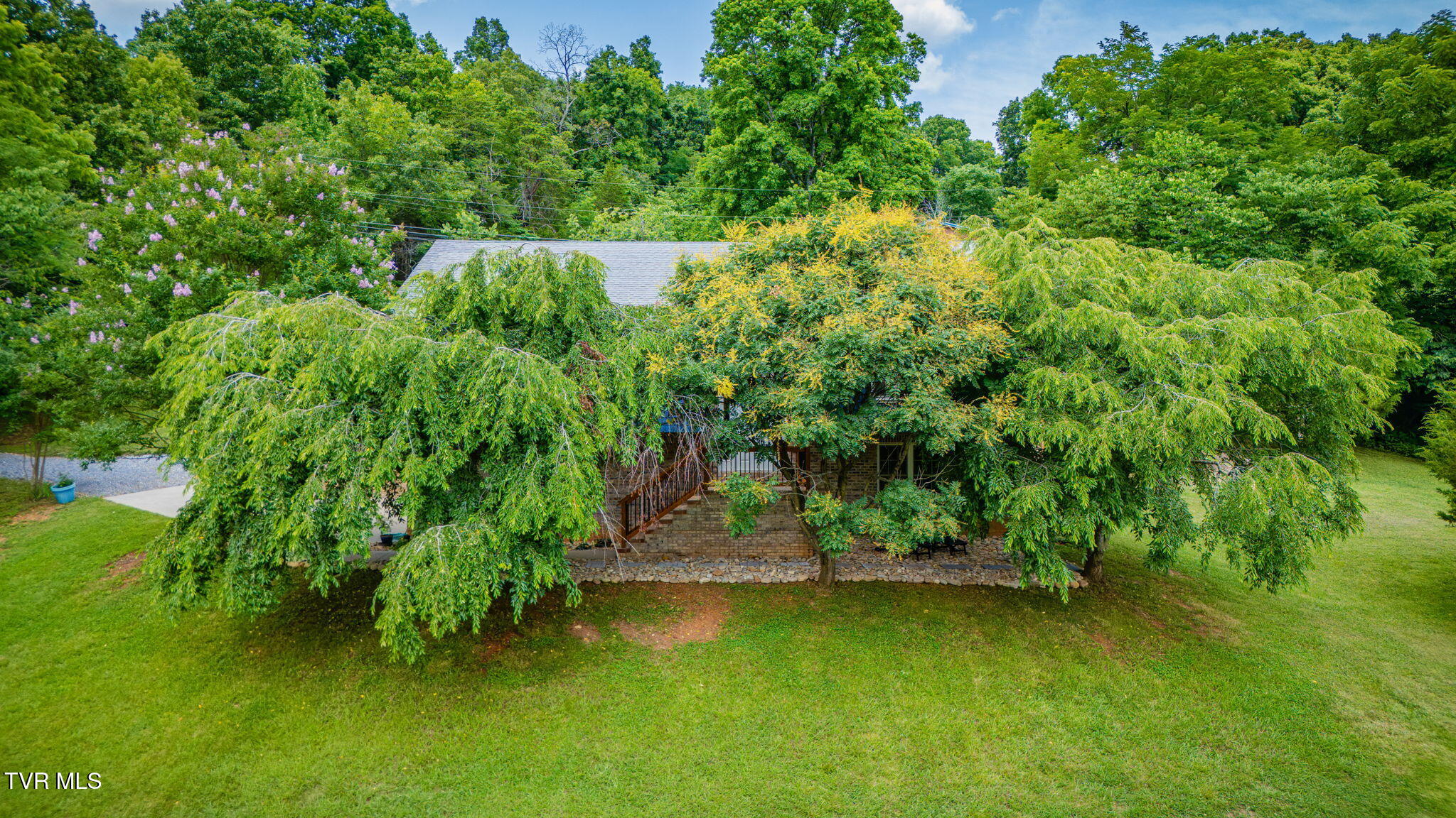 2937 Forest View Road Kingsport, TN 37660 - Photo 44 of 52 101