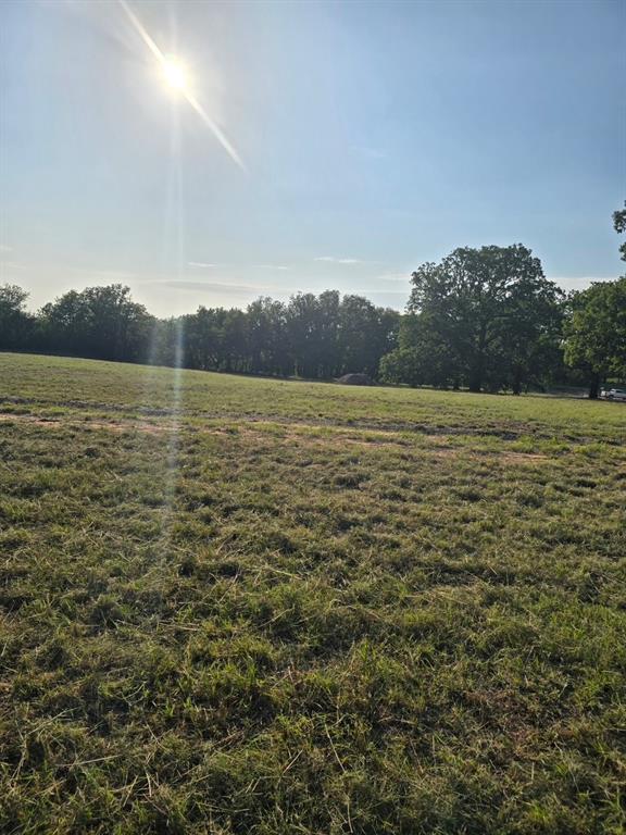 384 Red Oak Hills Road Nocona, TX 76255 - Photo 5 of 10 a view of an ocean from a yard