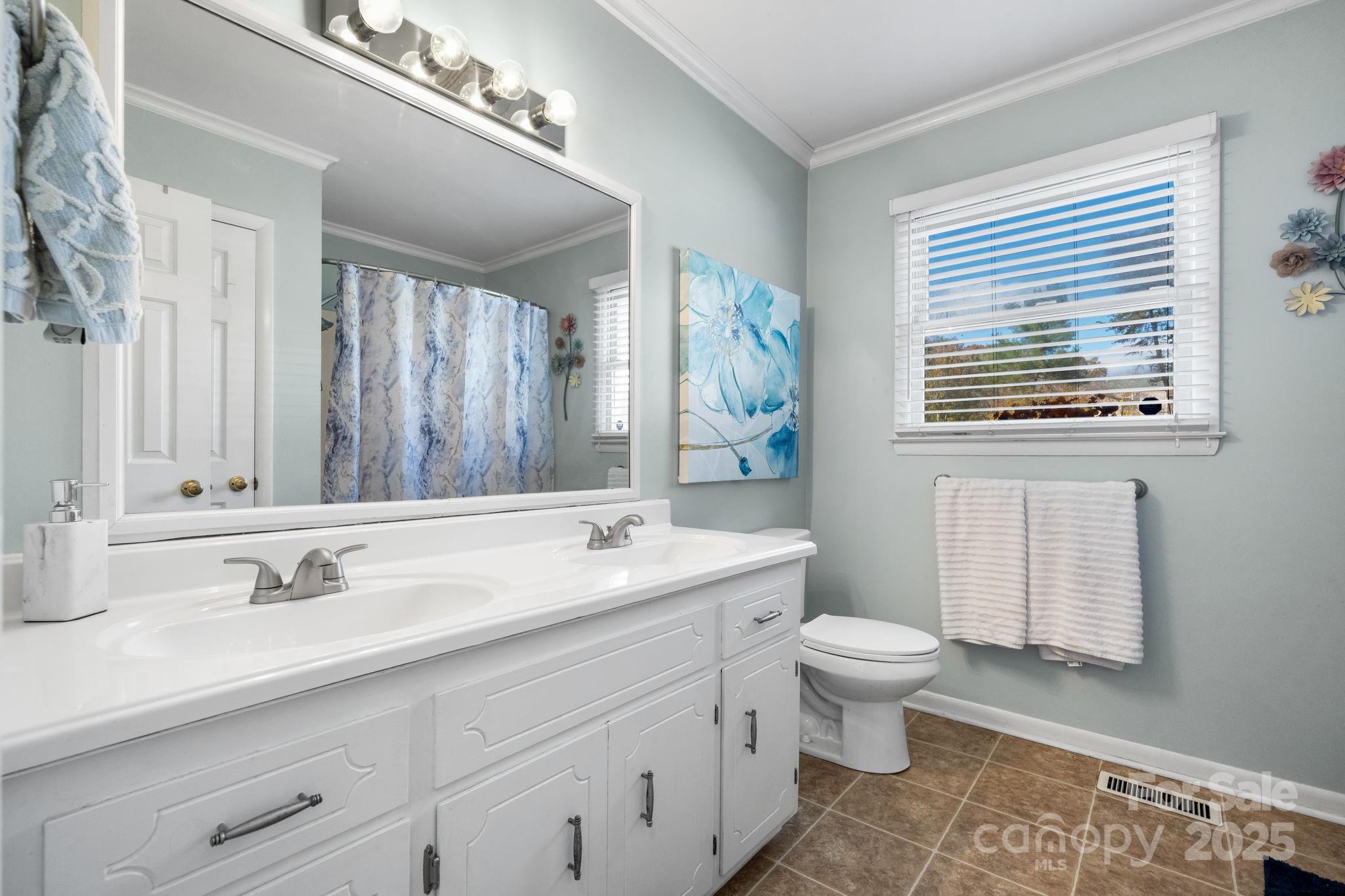 1553 Castell Lane Hickory, NC 28601 - Photo 17 of 27 a bathroom with a sink a toilet a mirror and a window