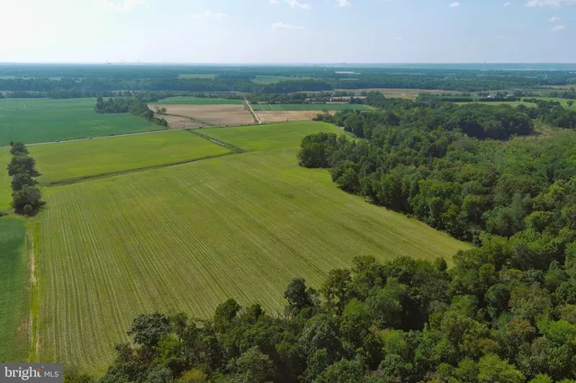 a view of a field with an ocean