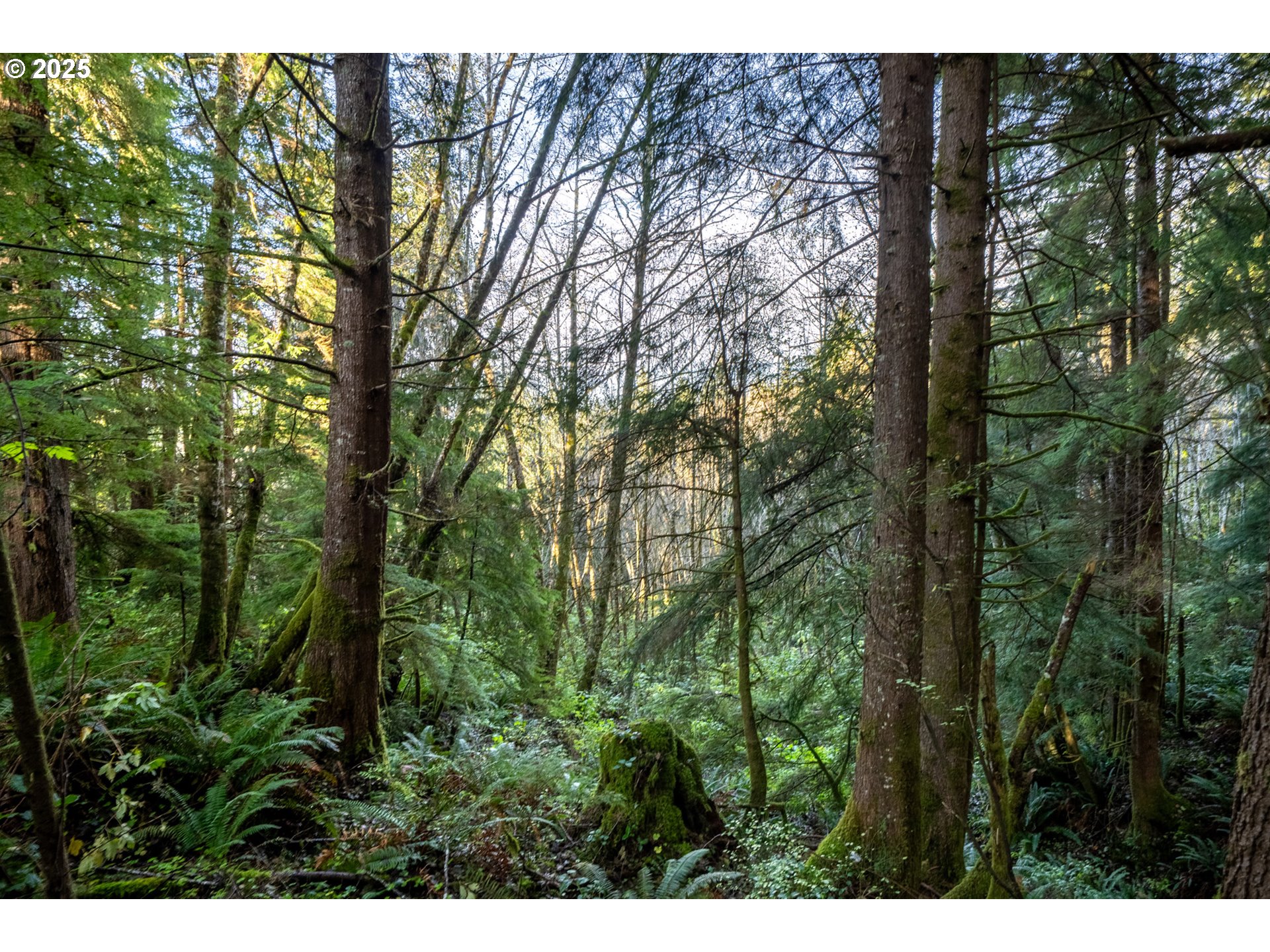 Bryant Street, Unit 602 604 Wheeler, OR 97147 - Photo 11 of 19