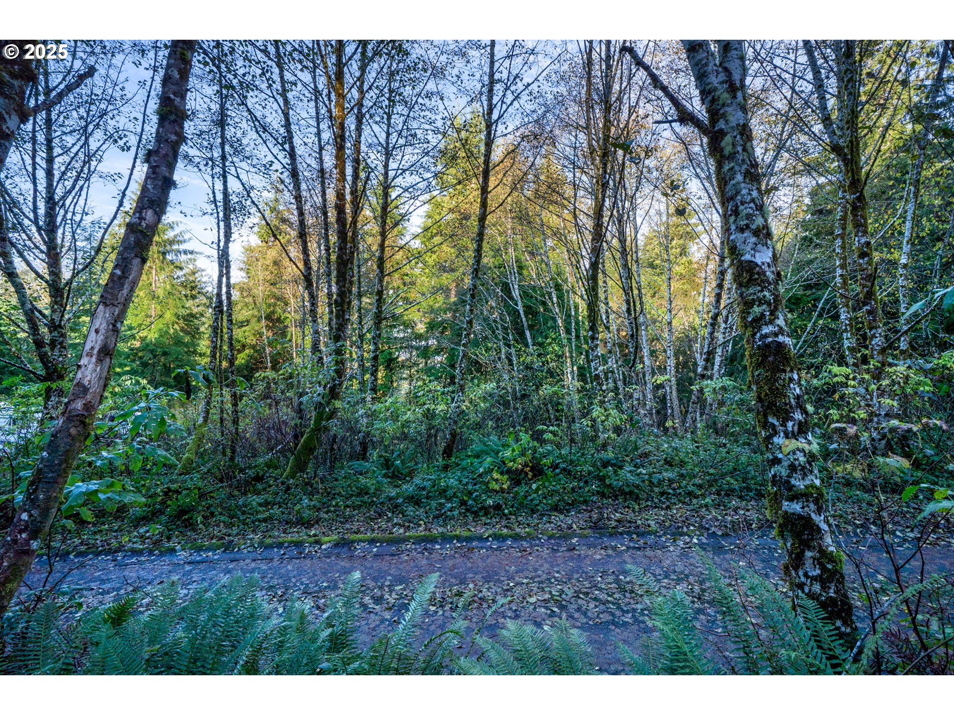 Bryant Street, Unit 602 604 Wheeler, OR 97147 - Photo 13 of 19