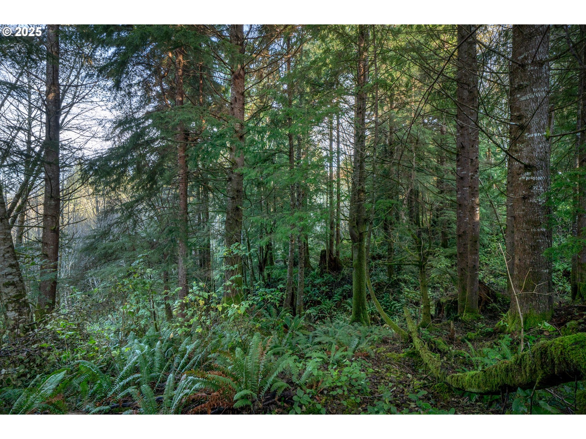 Bryant Street, Unit 602 604 Wheeler, OR 97147 - Photo 7 of 19