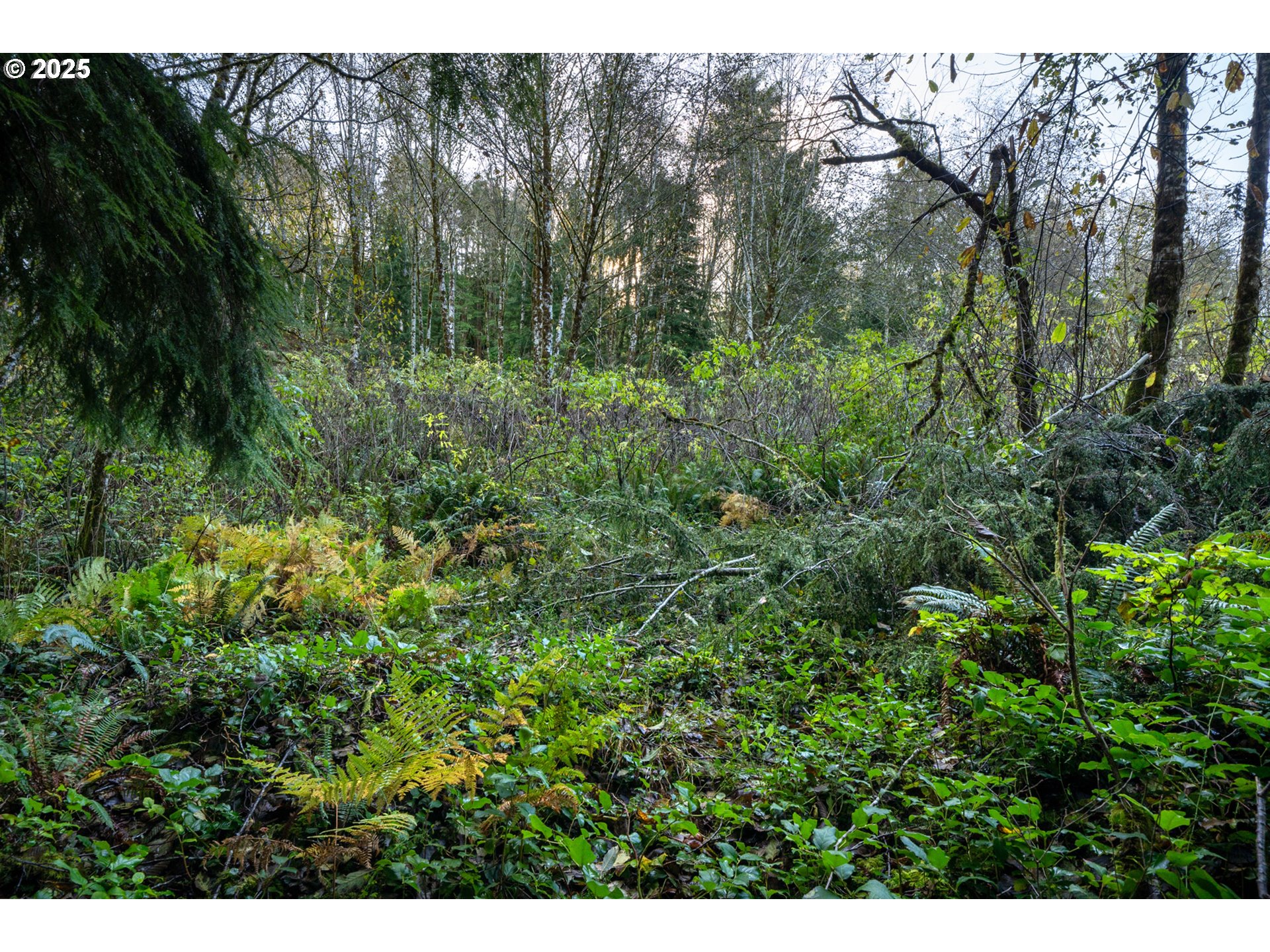 Bryant Street, Unit 602 604 Wheeler, OR 97147 - Photo 8 of 19