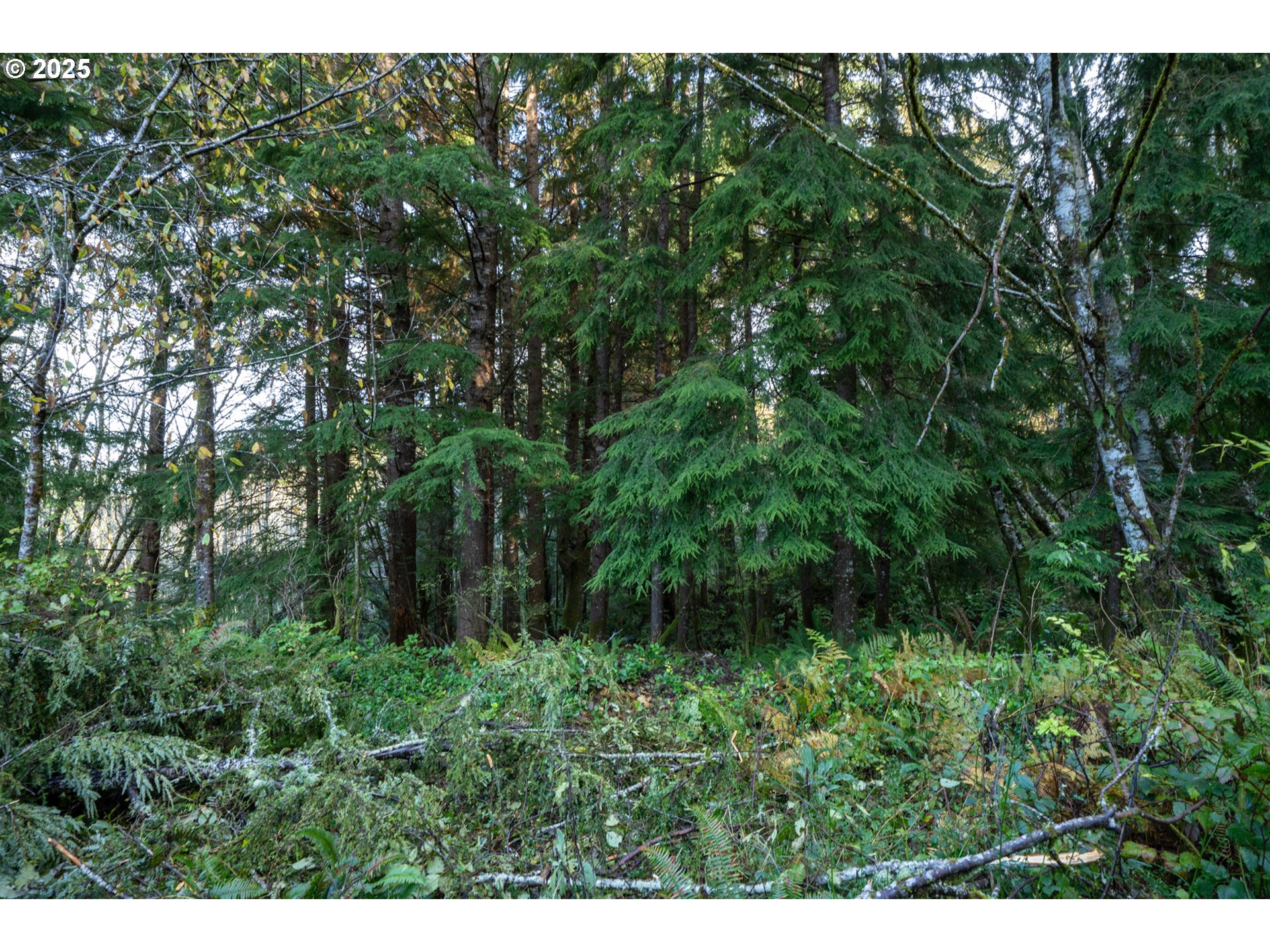 Bryant Street, Unit 602 604 Wheeler, OR 97147 - Photo 9 of 19