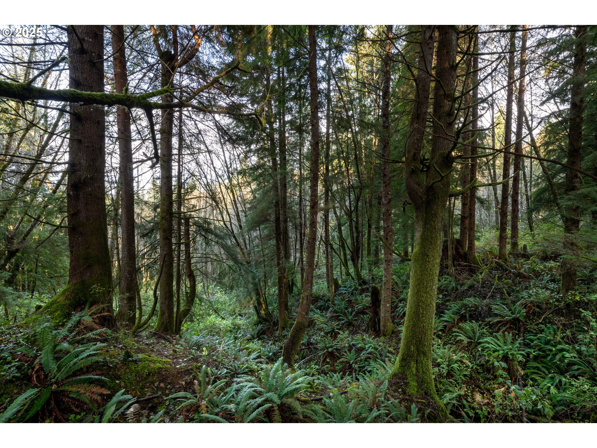 Bryant Street, Unit 602 604 Wheeler, OR 97147 - Photo 10 of 19