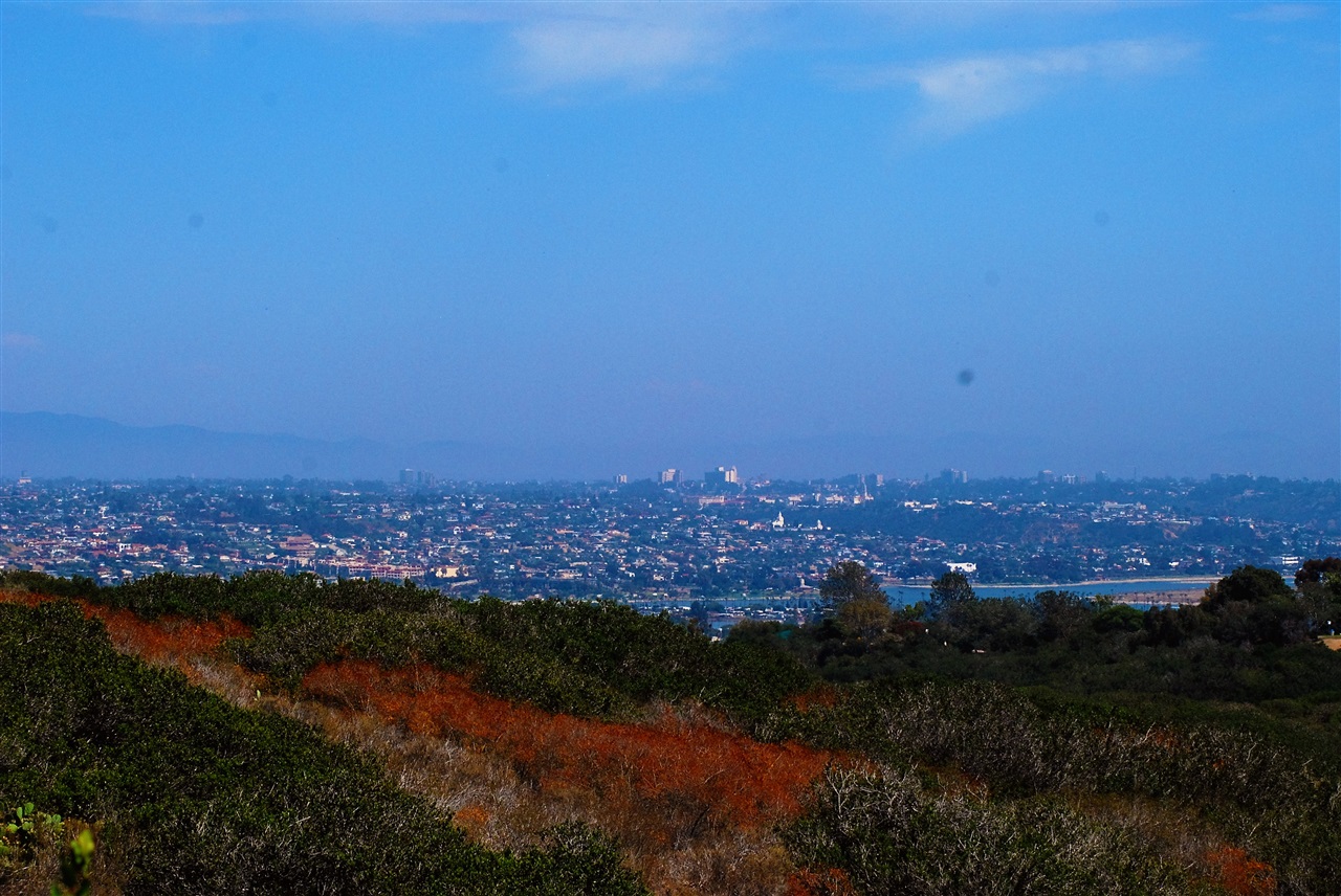 5401 Soledad Road La Jolla, CA 92037 - Photo 5 of 13