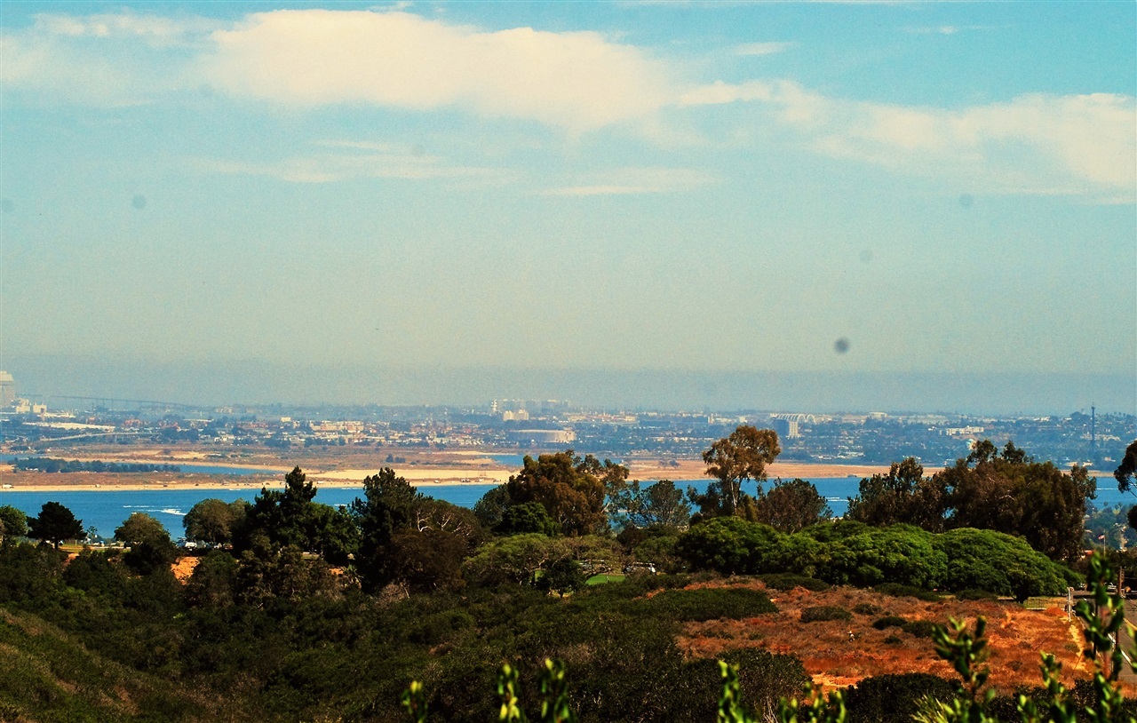 5401 Soledad Road La Jolla, CA 92037 - Photo 6 of 13