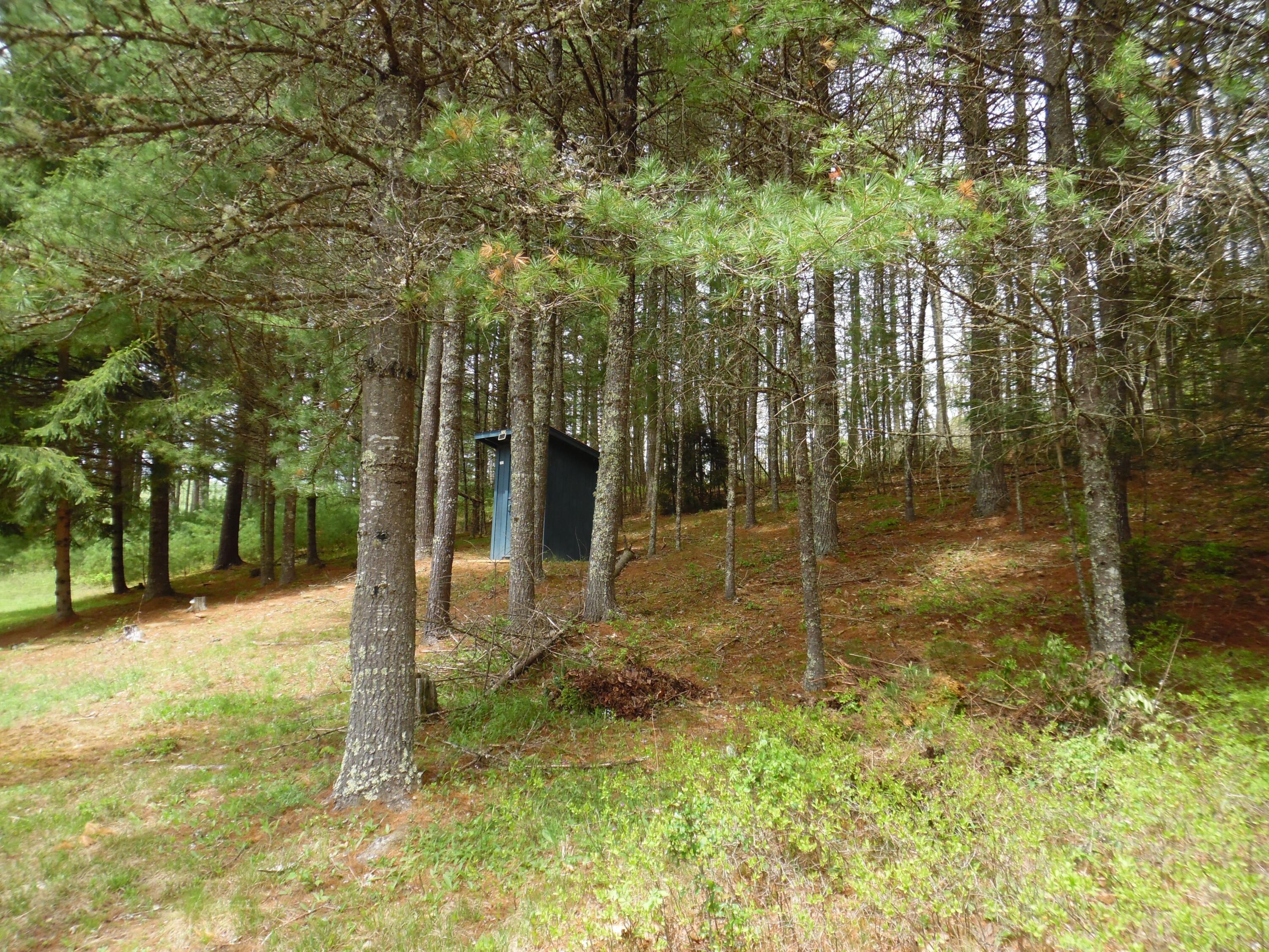 5210 Wesley Chapel Road Green Bank, WV 24944 - Photo 68 of 93 Gallery Image 68
