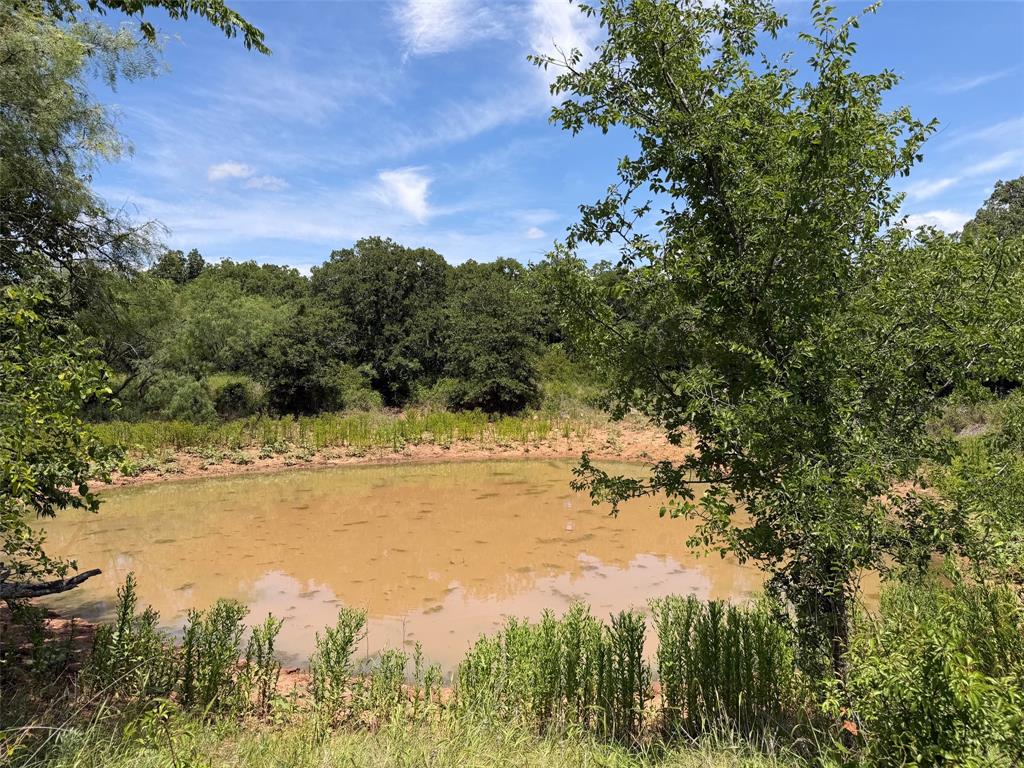 0 Rux Road Olney, TX 76374 - Photo 12 of 12 a view of a yard with a lake view