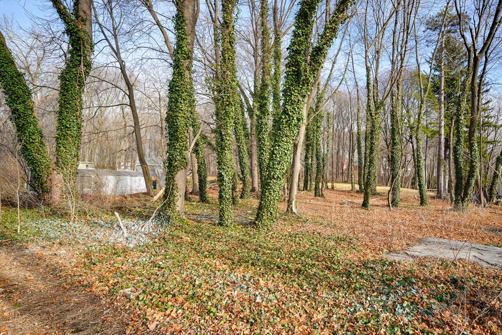 52 Concord Road Billerica, MA 01821 - Photo 36 of 40 Gallery Image 36