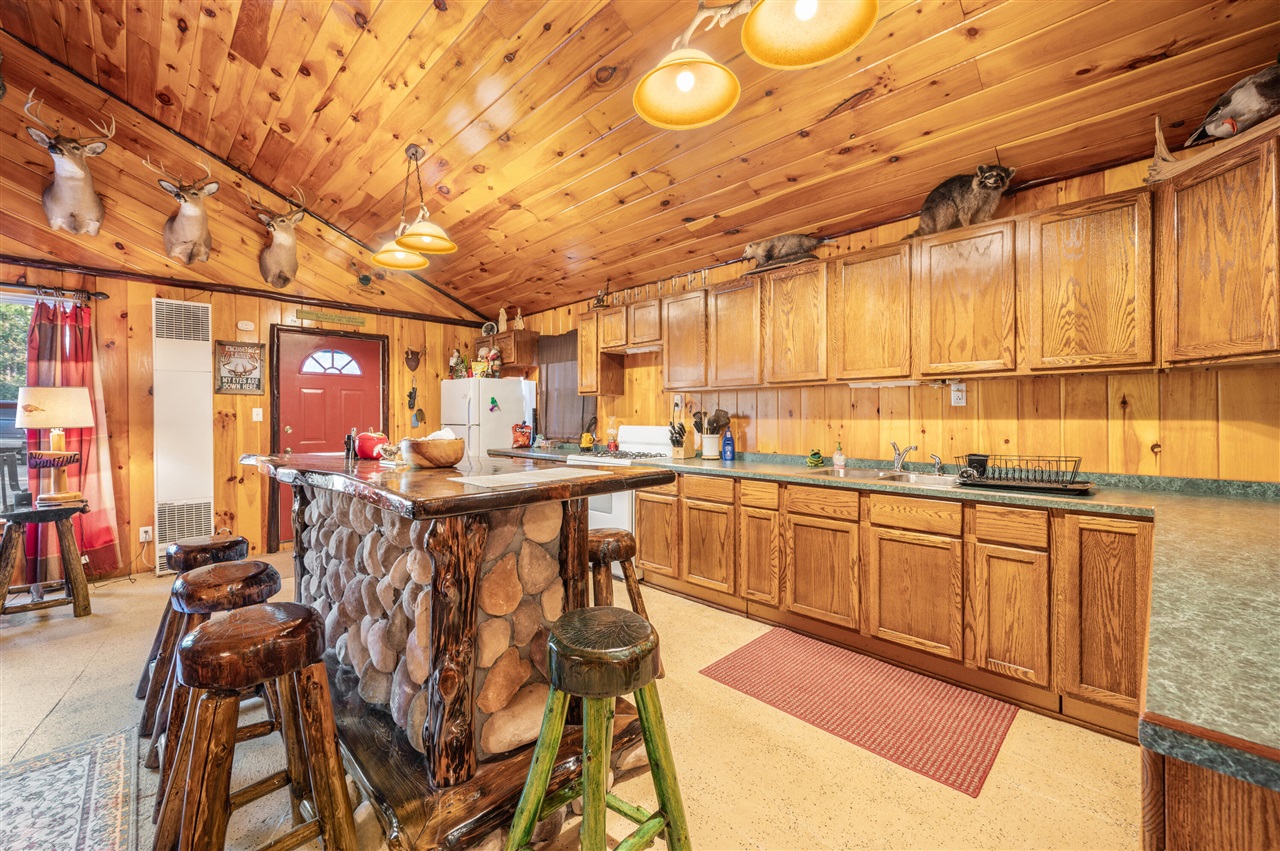 1597 South Saddler Road Luther, MI 49656 - Photo 7 of 38