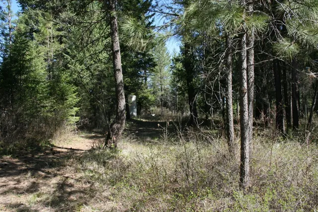 $149,000 | Xx Bowler Road, Springdale, WA 99173