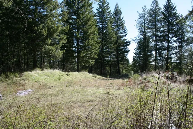 $149,000 | Xx Bowler Road, Springdale, WA 99173