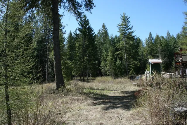 $149,000 | Xx Bowler Road, Springdale, WA 99173