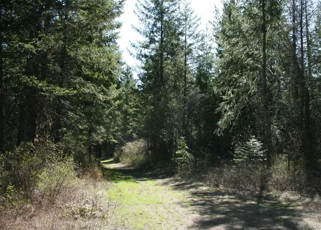 $149,000 | Xx Bowler Road, Springdale, WA 99173