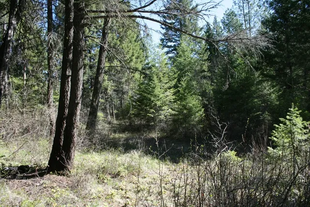 $149,000 | Xx Bowler Road, Springdale, WA 99173