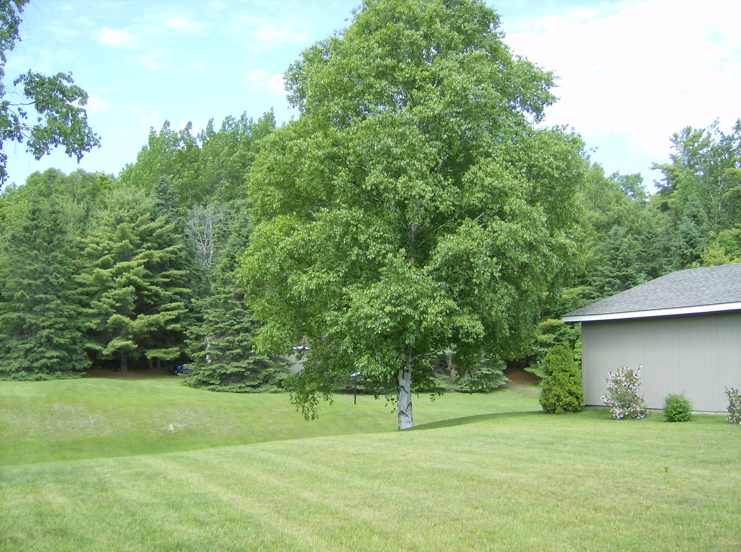 793 West Lant Road St. Ignace, MI 49781 - Photo 20 of 63 Gallery Image 20